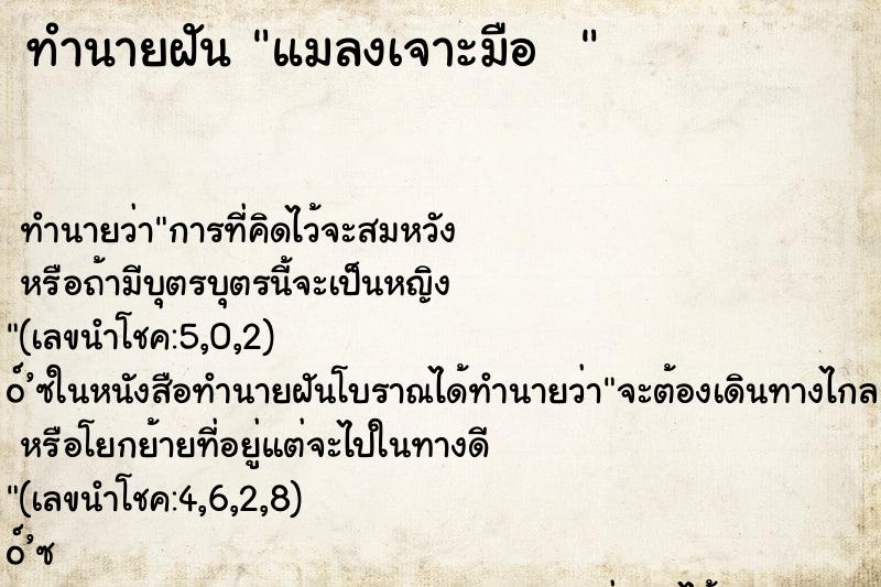 ทำนายฝันทำนายฝันแมลงเจาะมือ
